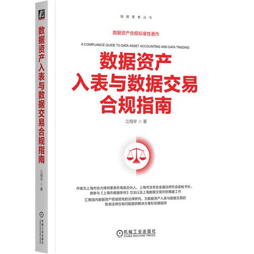 数据资产入表与数据交易合规指南 江翔宇 数据要素丛书 数据资产管理