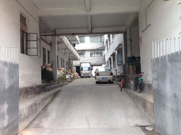 东莞市农村社区集体资产管理网 新南村富旭基厂资产管理解析